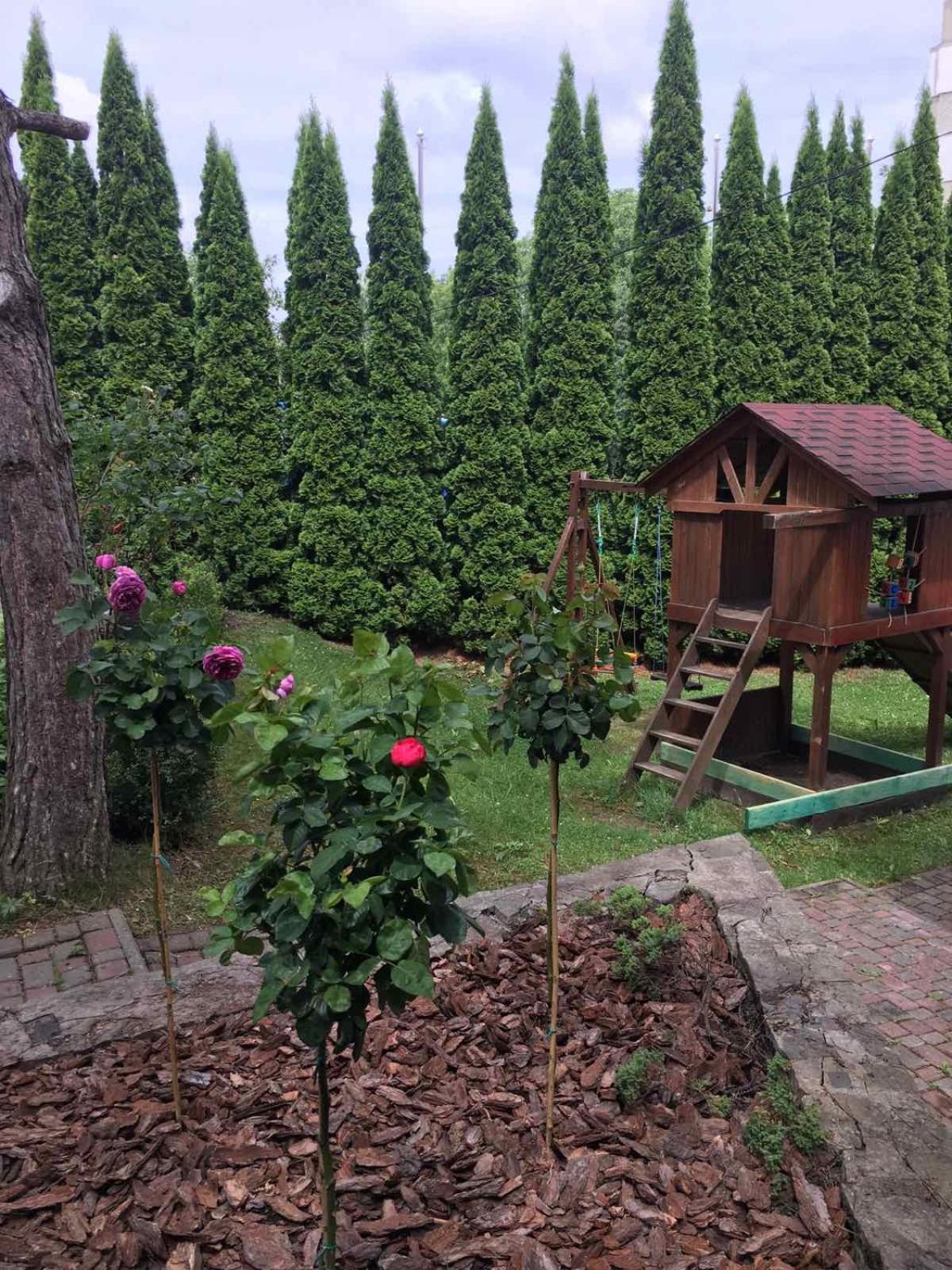 Red Stone Hotel Truskavets Luaran gambar